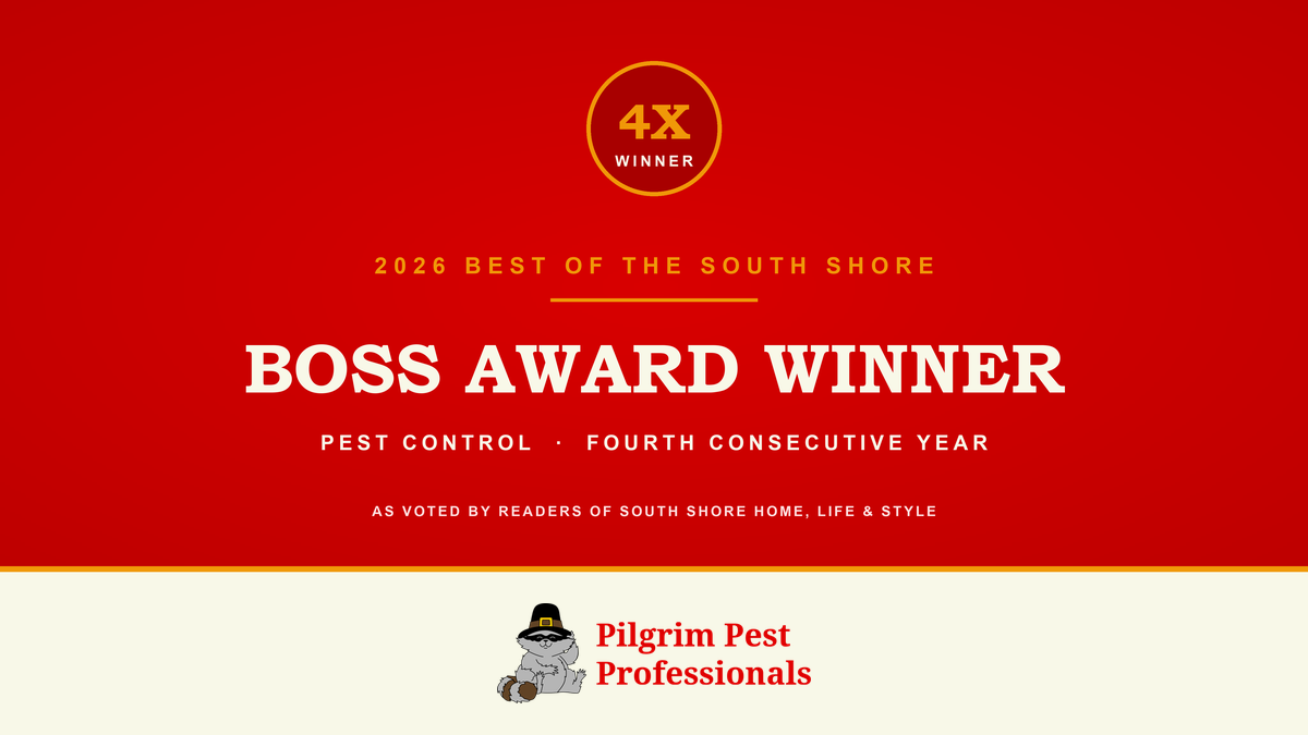 Pilgrim Pest Professionals Wins Fourth Consecutive BOSS Award